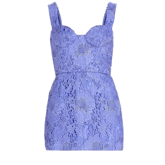 AKNVASBruna Embroidered Lace Minidress NWT